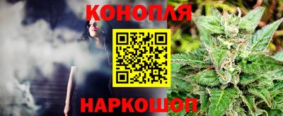 стаф Заводоуковск