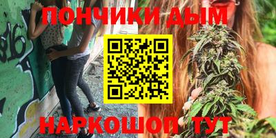 индика Жуковский