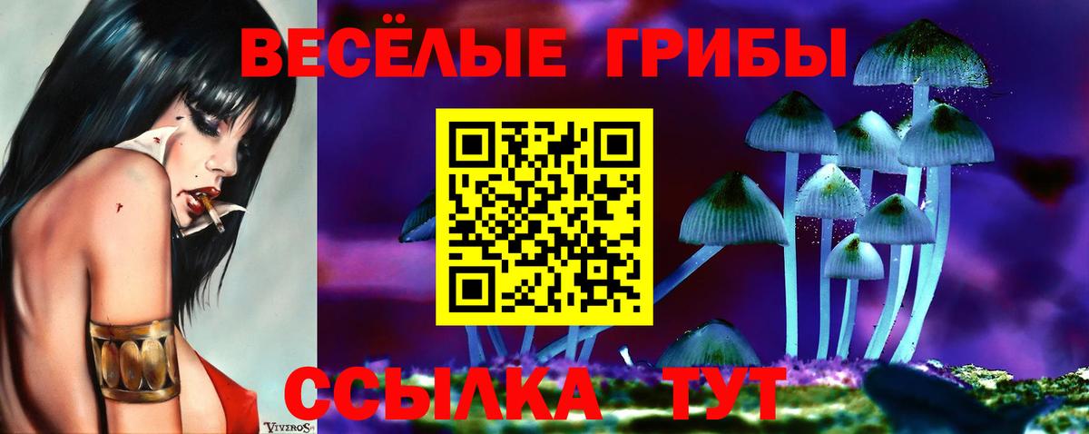 Псилоцибиновые грибы Psilocybine cubensis  Псилоцибиновые грибы ЛСД  Ликино-Дулёво  Вход с VPN 